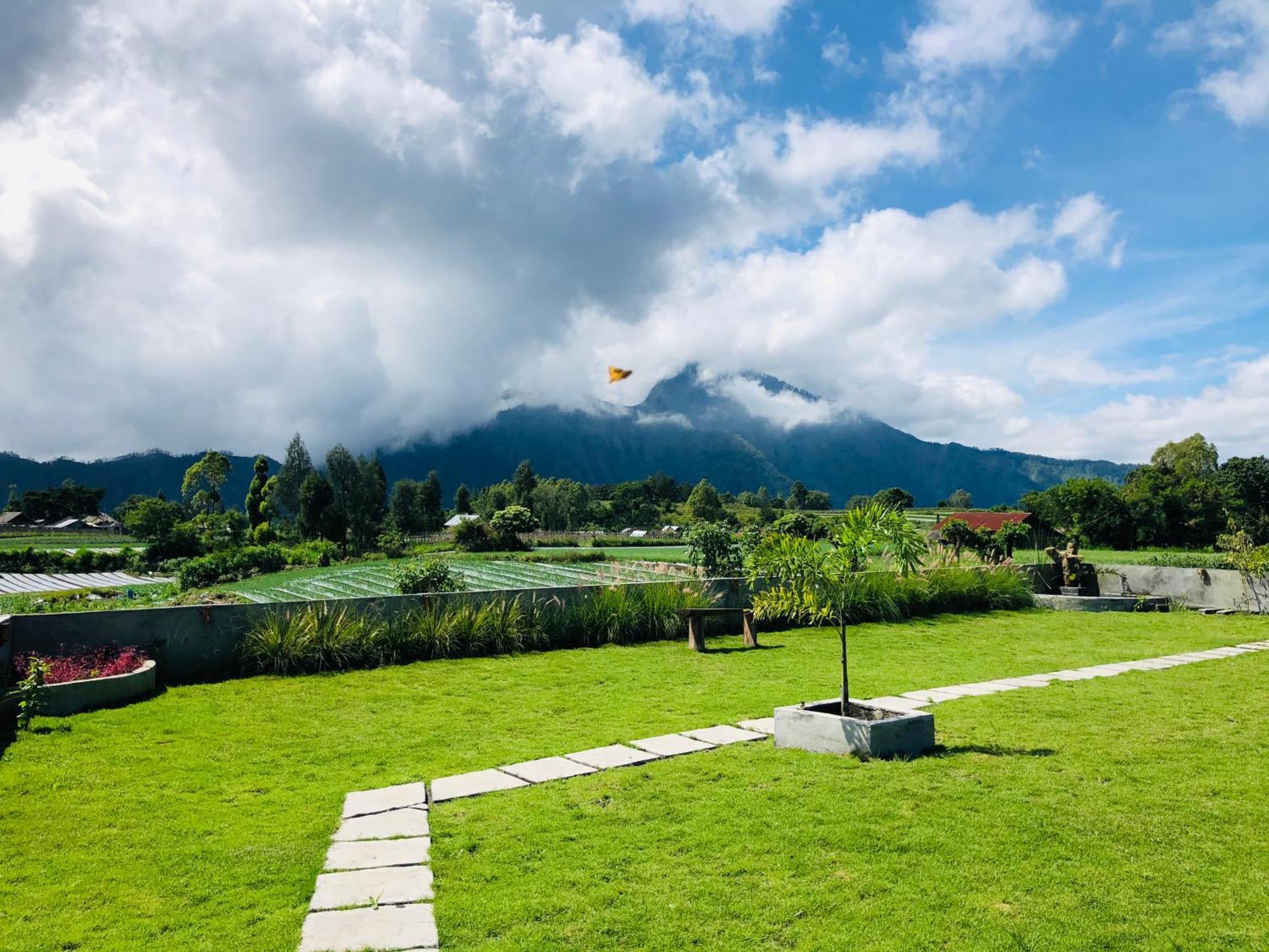 Bukit Catu Bungalows Kintamani Cameră foto